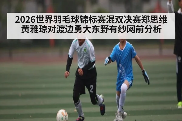 2026世界羽毛球锦标赛混双决赛郑思维黄雅琼对渡边勇大东野有纱网前分析